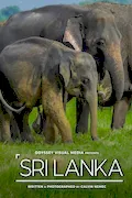Book Cover: Sri Lanka: Photography Travel Inspiration Coffee Table Book Collection (Odyssey Visual Media Travel Photography Collection)