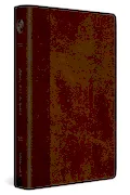 ESV Journaling Bible, Red Letter (TruTone, Brown/Tan, Timeless Design) Book Cover: ESV Journaling Bible, Red Letter (TruTone, Brown/Tan, Timeless Design)