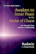 Book Cover: The Divine Sparks Speak ... Awaken to Inner Peace in the Midst of Chaos: Free Yourself from Human Conditioning