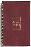 Book Cover: CSB Illustrating Bible - Cranberry