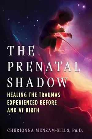 Book Cover: The Prenatal Shadow: Healing the Traumas Experienced before and at Birth