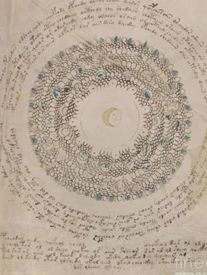 Book Cover: The Voynich Manuscript: The Complete Esoteric Codex (Codex Collection)